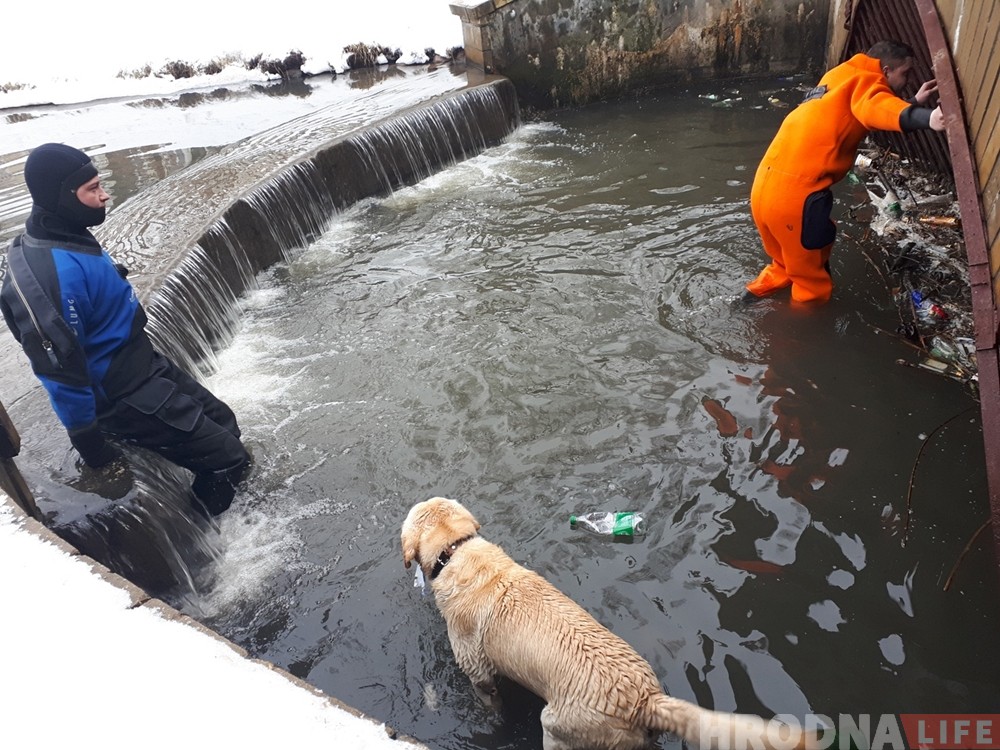 Гродзенскія ратавальнікі выцягнулі з вады яшчэ аднаго сабаку Гродзенскія ратавальнікі выцягнулі з вады яшчэ аднаго сабаку