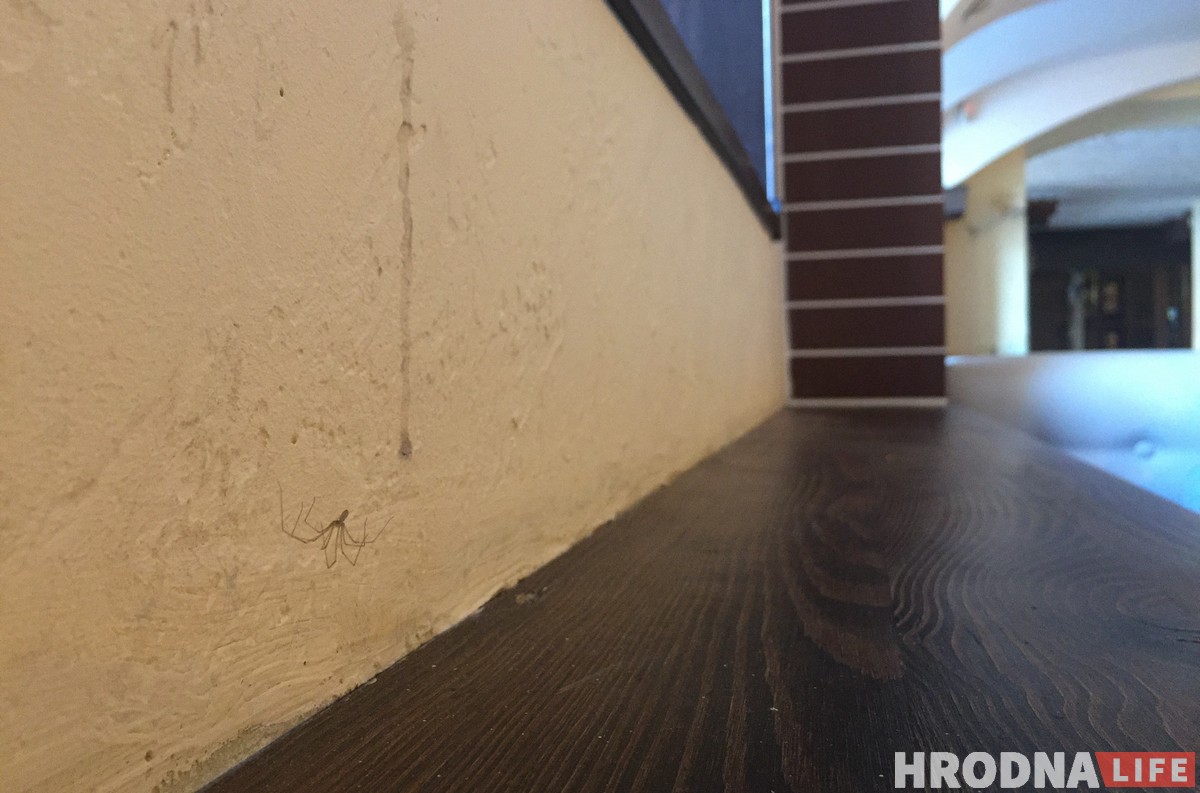 Тайный гость в гродненских кафе: обед в "Ретро Пицца"