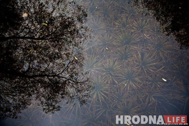 Двайнікі. Дзяўчына з Гродна знайшла сваю "копію"  з Масквы