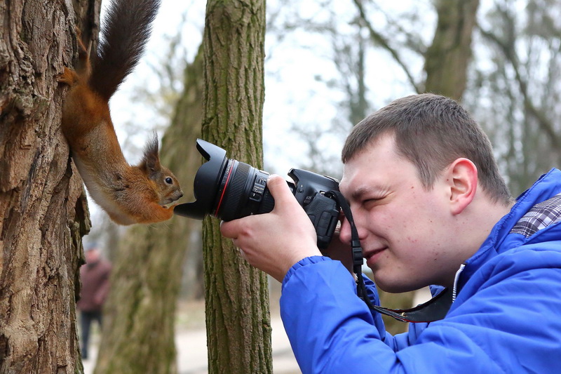 Вінаватыя людзі? У Румлёўскім парку выратавалі вавёрку з перабітымі лапкамі Вінаватыя людзі? У Румлёўскім парку выратавалі вавёрку з перабітымі лапкамі