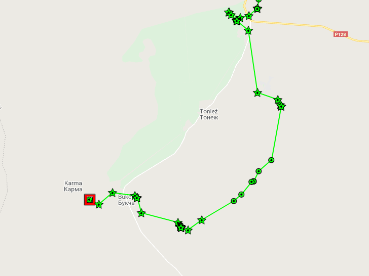 В Беларуси застрелили волка, которому выбирали имя всей страной