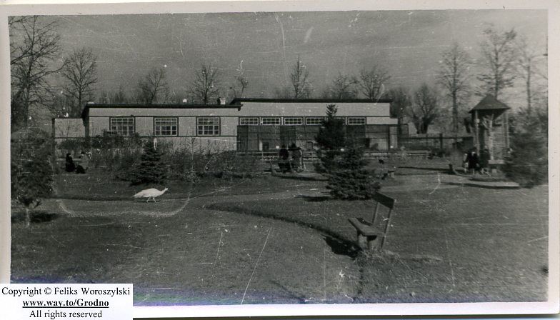 Успаміны 85-гадовай гродзенкі: «Масавыя расстрэлы праходзілі і пасля вайны»