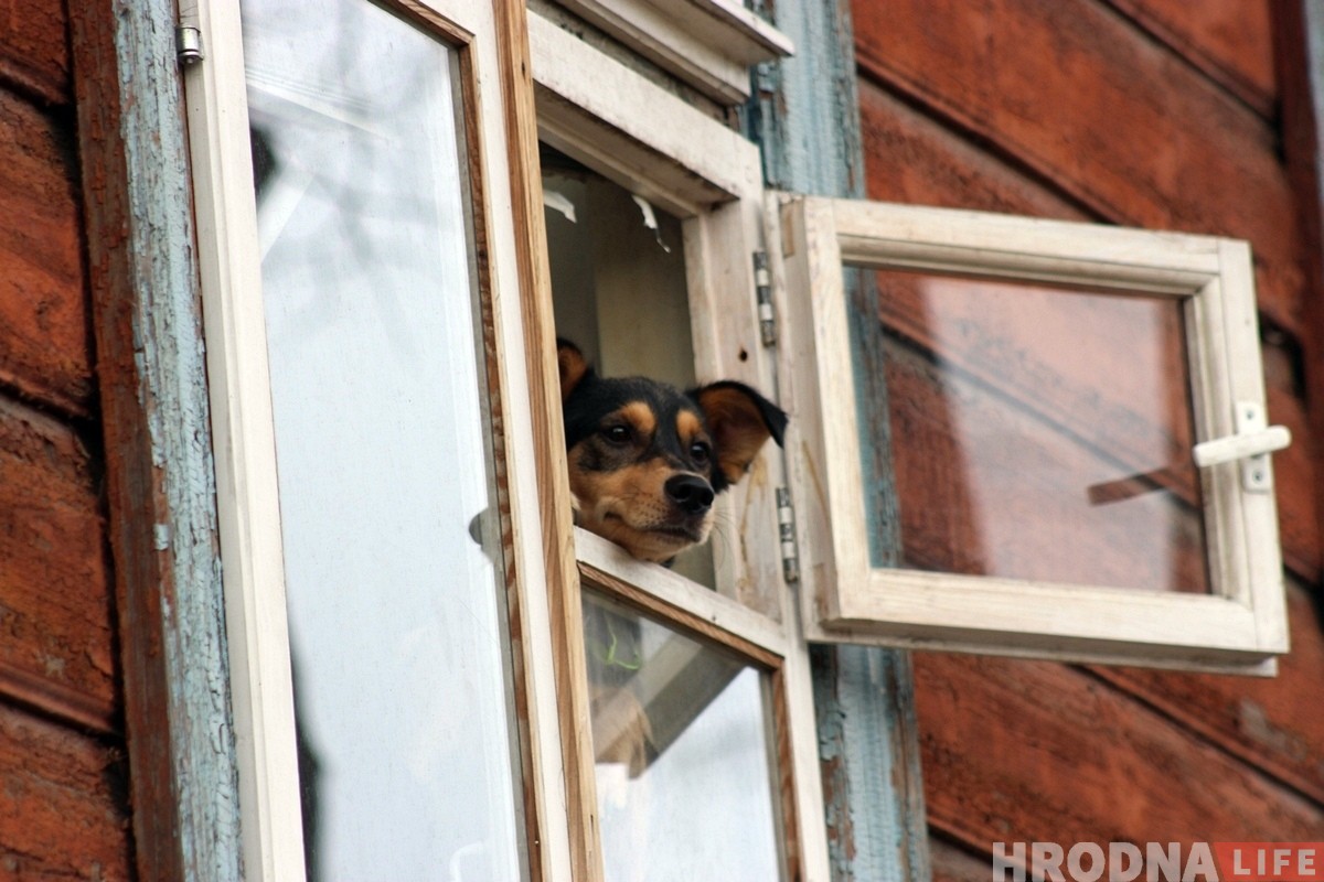 "Такую прыгажосць трэба шанаваць". Чаму фатографка здымае маладых у атмасферы Новага свету