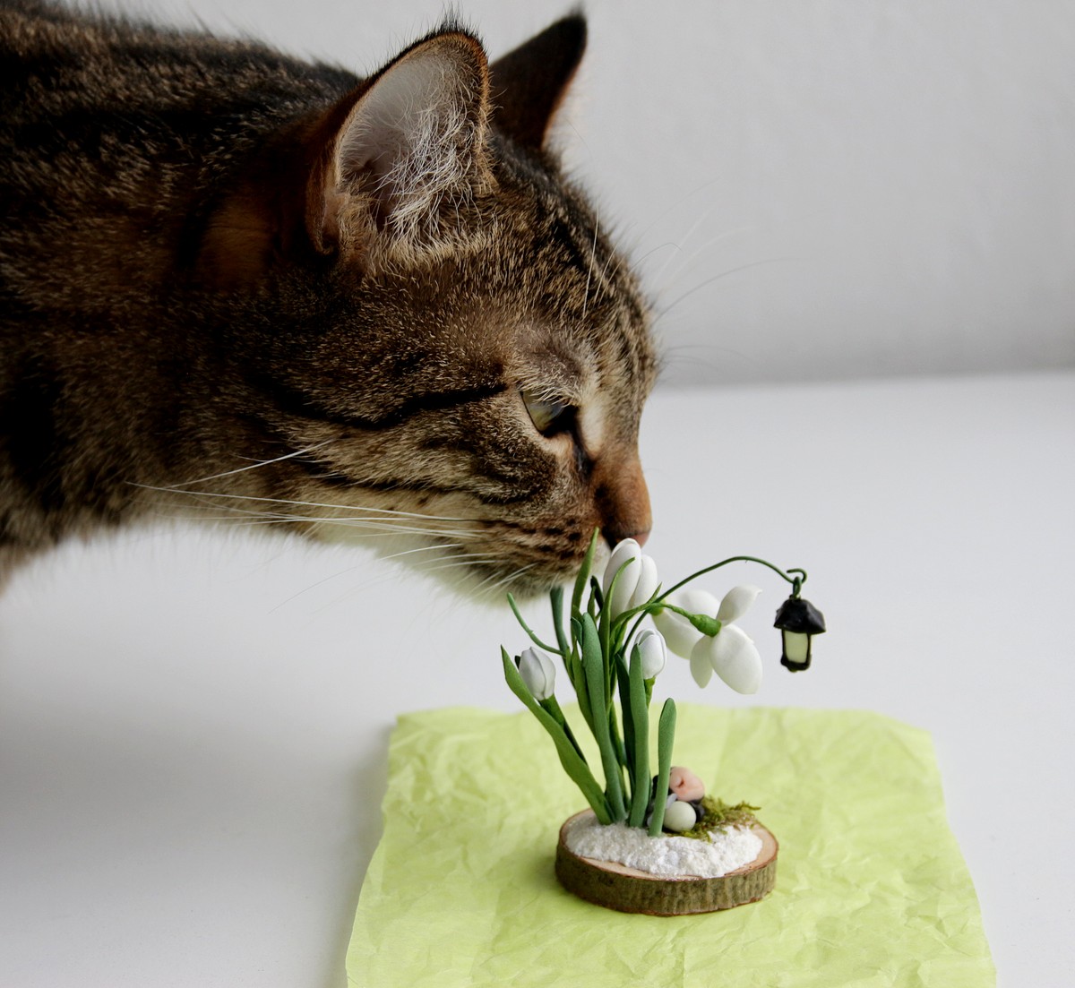 Рэчы з душой: 5 цікавых handmade-падарункаў да 8 сакавіка