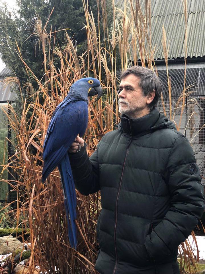 “Папугаі могуць пакутаваць ад дэпрэсіі або не знайсці сабе пару”. Арнітолагі і зааабаронцы пра гродзенскую “Папугайню”