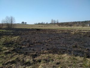 У Гродзенскай вобласці з-за навальніцы адбылося тры пажары