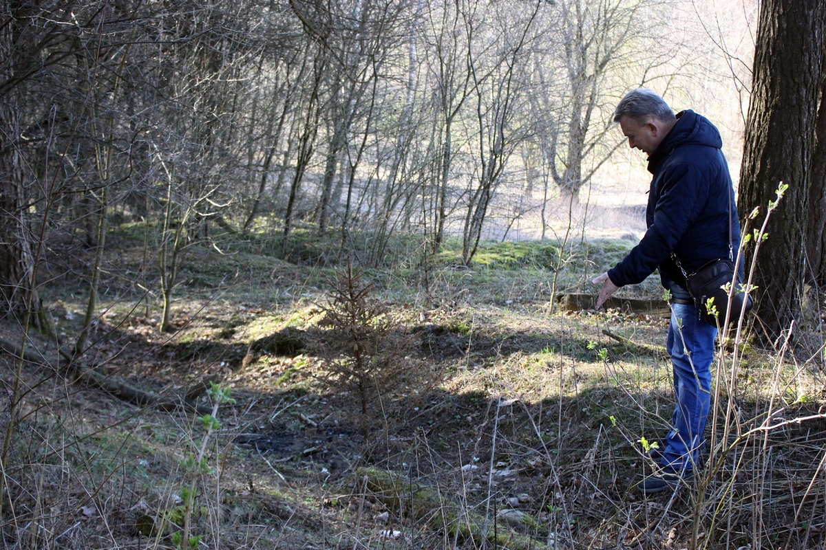 «Павінен быць хоць нейкі крыж». Гродзенцы збіраюць інфармацыю пра расстрэлы ў Пышках