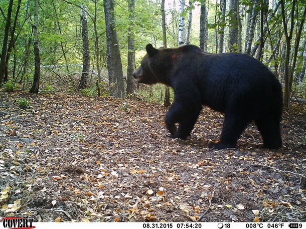 Беларусь адкрыла Чарнобыльскую зону для турыстаў. Экскурсія на пяць чалавек — 340 рублёў