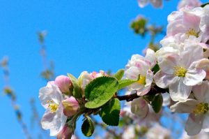 «Са шкоднасці важу грудку». Пасля скаргі пакупніцы краму «Светофор» у Гродне закрылі «Са шкоднасці важу грудку». Пасля скаргі пакупніцы краму «Светофор» у Гродне закрылі