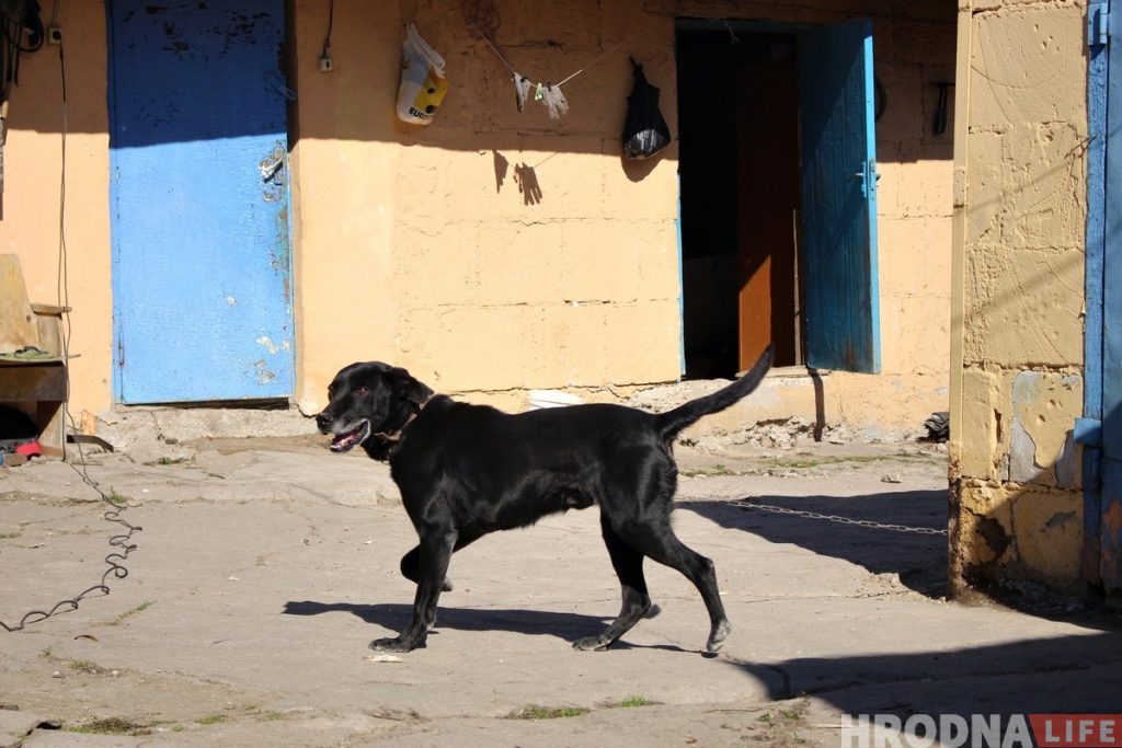 "Паспець да панядзелка". Як жыхары былой вёскі Дзевятоўка рыхтуюцца да зносу