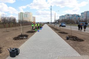 «Плаці, калі выкідваеш». Як беларуска сартавала смецце ў шасці краінах свету