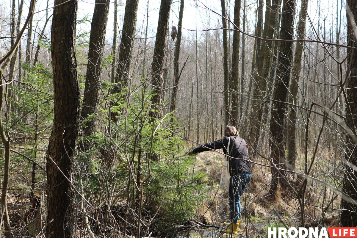 Стало тепло - это Hrodna.life в пуще позвал весну! Смотрите фоторепортаж