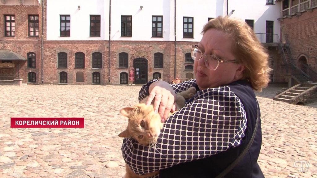 В Мирском замке собираются оформить на работу двух котов