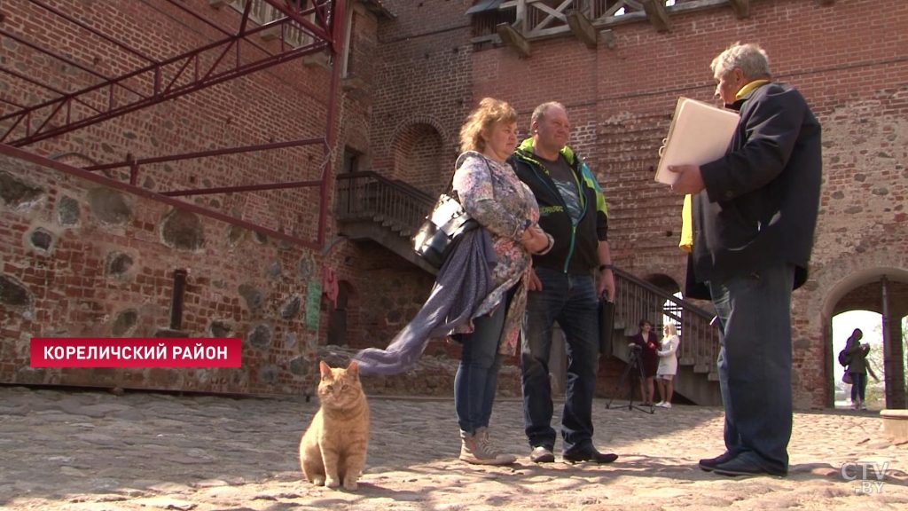 В Мирском замке собираются оформить на работу двух котов