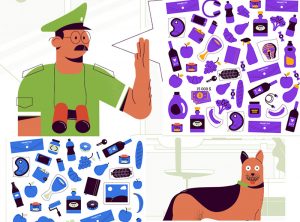 У Гродне стварылі камп’ютарную гульню, якая можа “замяніць” мытню