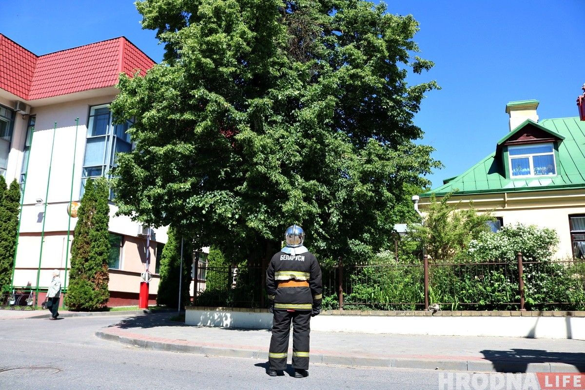 Глядзіце, як у цэнтры Гродна ратавалі Малыша (але ён потым знік) Глядзіце, як у цэнтры Гродна ратавалі Малыша (але ён потым знік)