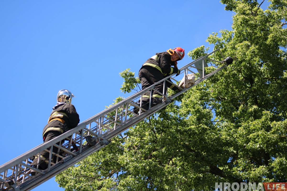 Глядзіце, як у цэнтры Гродна ратавалі Малыша (але ён потым знік) Глядзіце, як у цэнтры Гродна ратавалі Малыша (але ён потым знік)