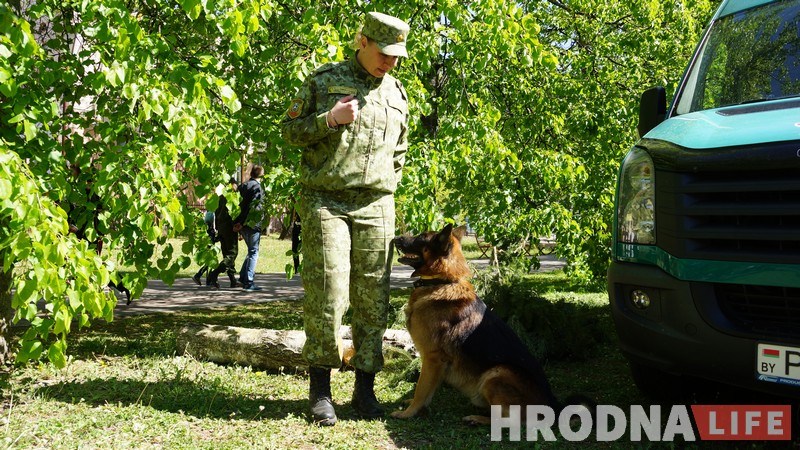 "Он только на границе строгий". Специалист по взрывчатке Оскар развлекал детей на празднике Победы в Гродно