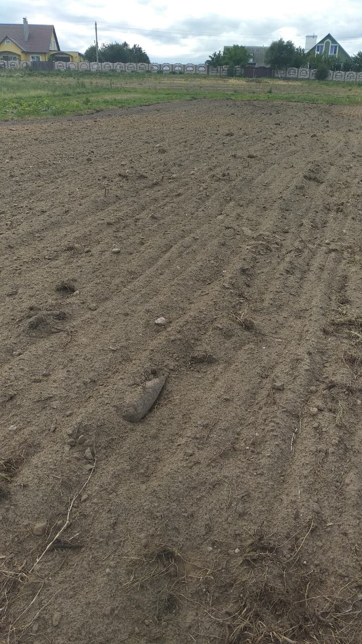 Гродненец нашел авиационную бомбу. Не в первый раз
