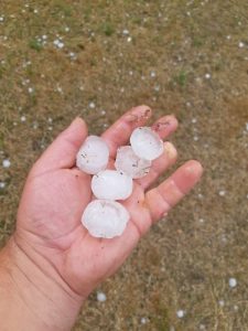 У Гродзенскай вобласці ўведзена забарона на наведванне лясоў у шасці раёнах