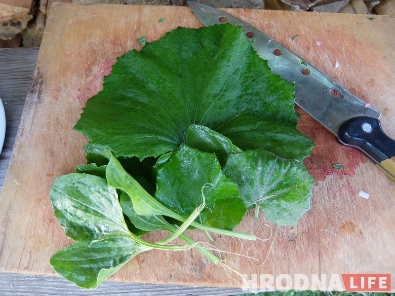 Трава у дома: гродненка 5 лет готовит сорняки и готова поделиться рецептами