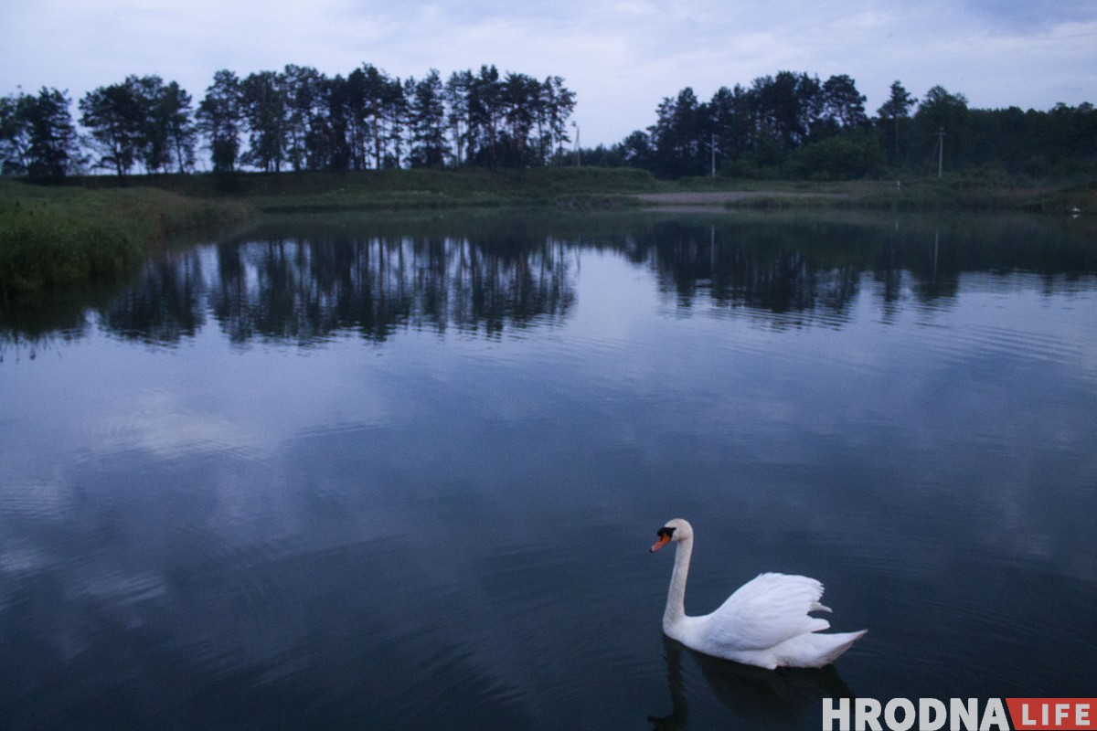 Гродненец восстанавливает старинную мельницу чтобы развивать туризм. Но все оказалось сложнее, чем он думал