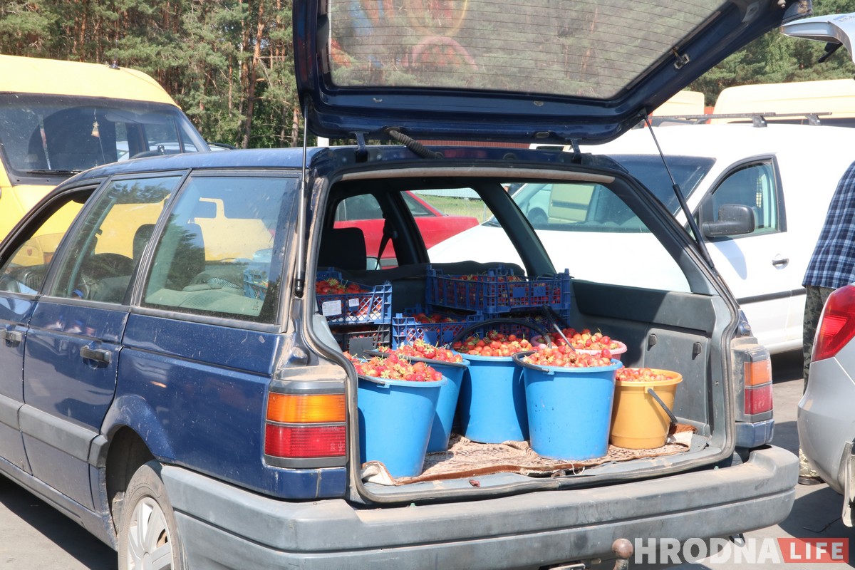 Горячая клубника и черная пятница. Сколько на самом деле стоит беларусская ягода