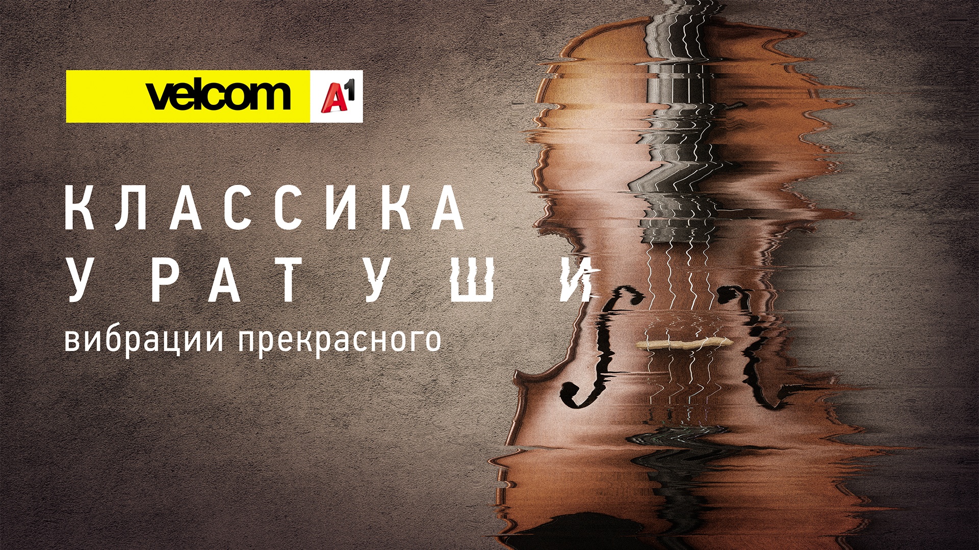 Праздник в ритме вальса: в Гродно впервые пройдет концерт фестиваля «Классика у Ратуши с velcom | A1»
