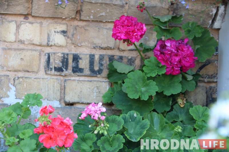 Як па-новаму адкрываецца Новы Свет, калі заплюшчыць вочы Як па-новаму адкрываецца Новы Свет, калі заплюшчыць вочы