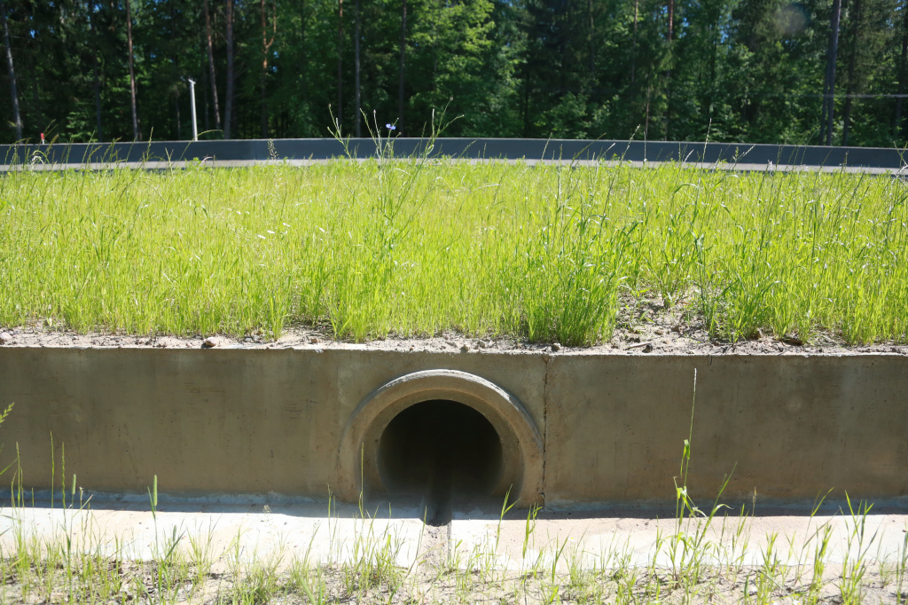 На трасе М6 з'явіўся пераход для жабаў На трасе М6 з'явіўся пераход для жабаў