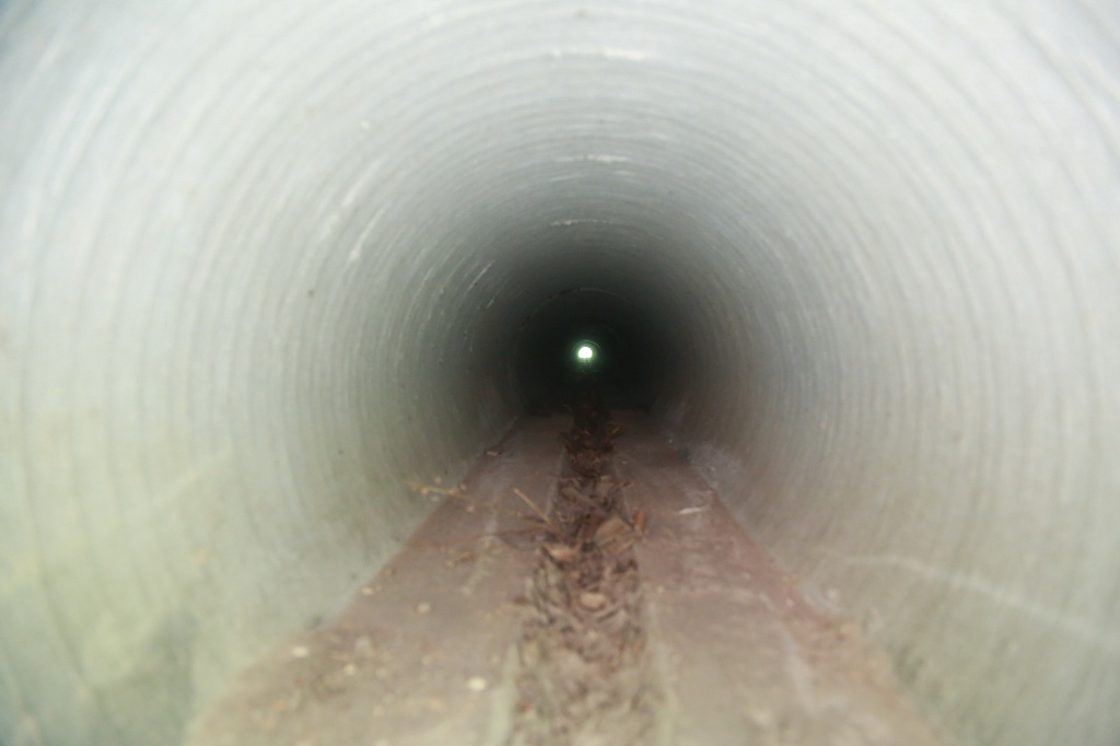 На трасе М6 з'явіўся пераход для жабаў На трасе М6 з'явіўся пераход для жабаў