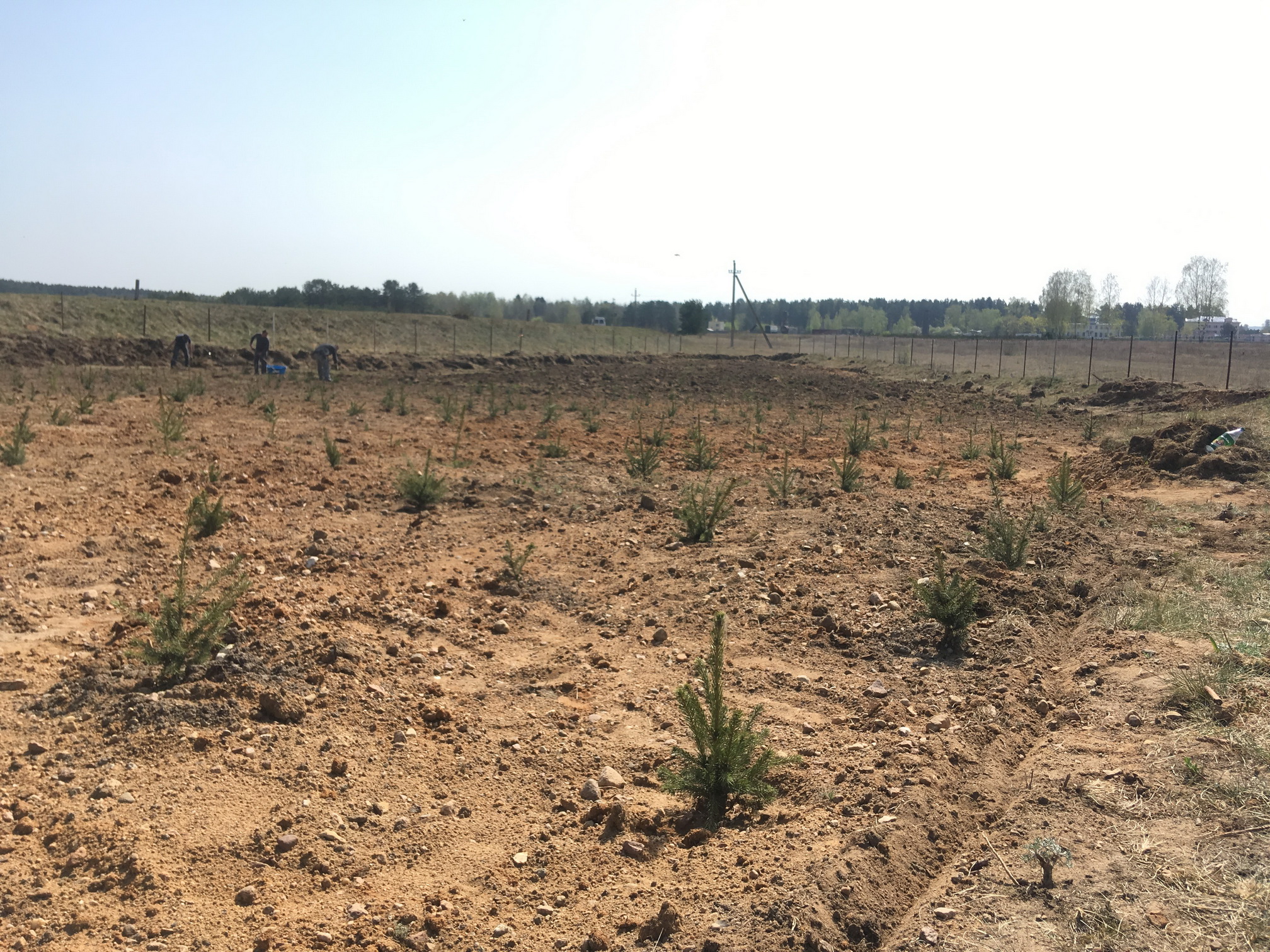 Гродненец восстанавливает старинную мельницу чтобы развивать туризм. Но все оказалось сложнее, чем он думал