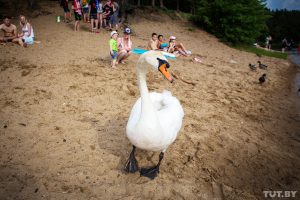 Белгідрамет абвясціў аранжавы ўзровень небяспекі з-за спёкі. Што рабіць?