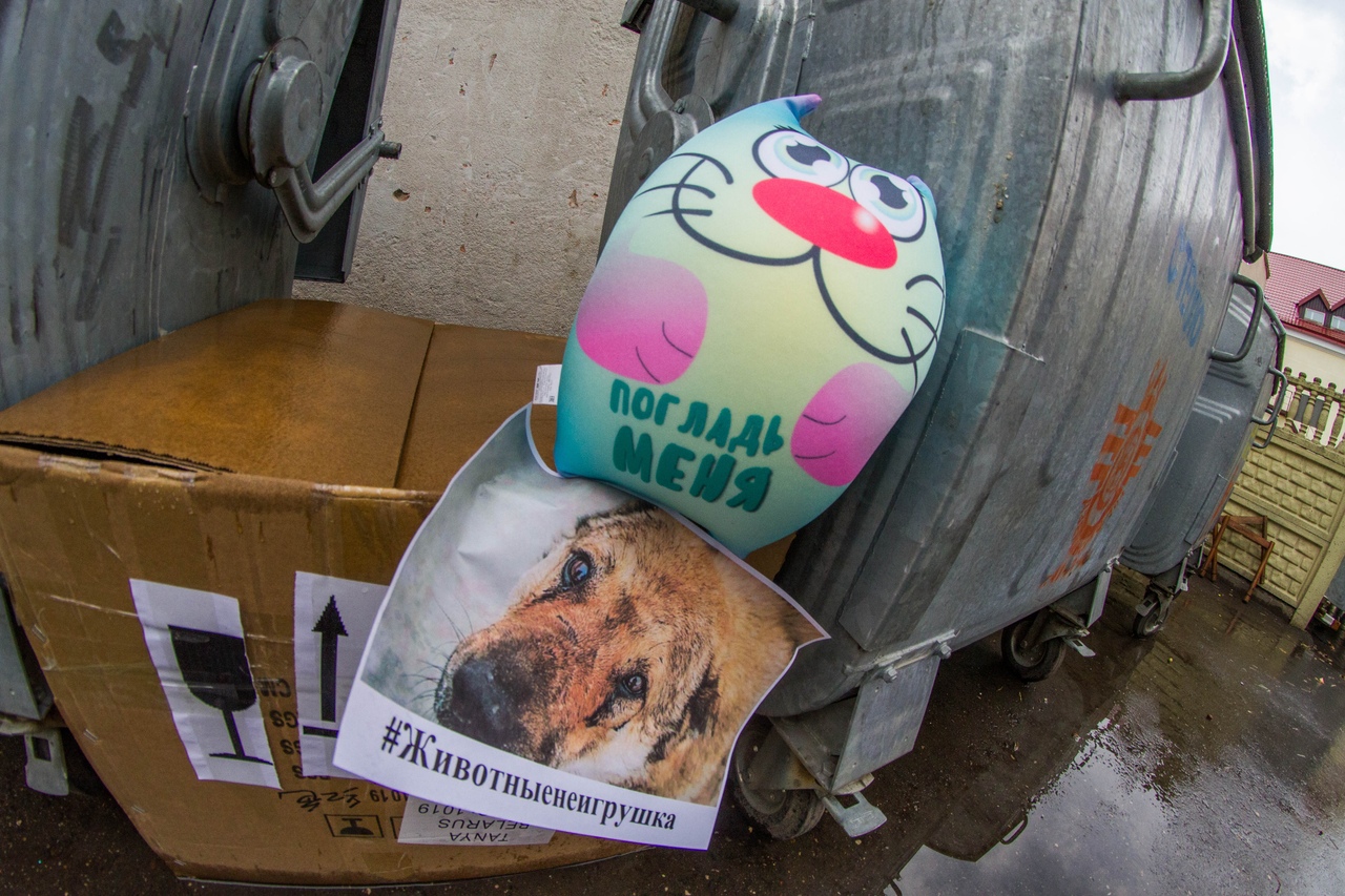 У Гродне выкідваюць на сметніцы плюшавыя цацкі, каб падтрымаць бяздомных жывёл