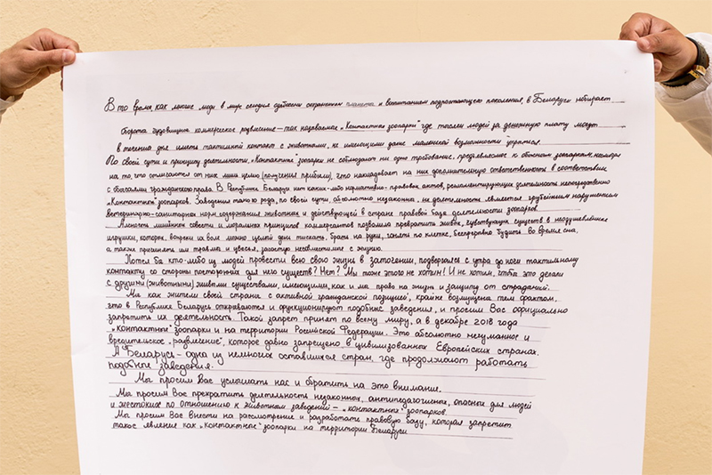 Зоозащитники испачкали краской картину Марка Шагала. Говорят, “он бы одобрил”