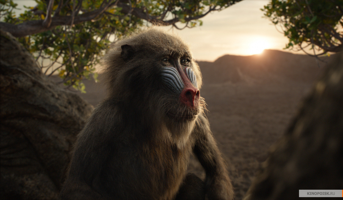 «Кароль Леў» 2019: тэхналогій дадалі, пра магію кіно забыліся