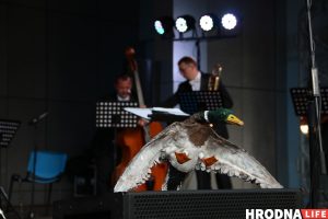 Застрэліць качку на вячэру і станцаваць вальс. У парку Жылібера гралі Штрауса для ўсіх