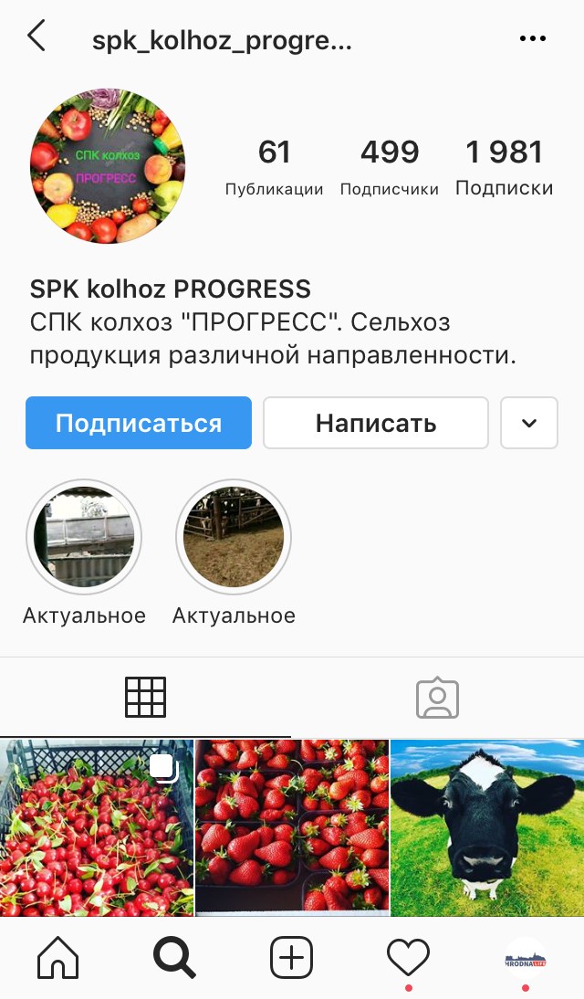 Instagram СССР-style: што посцяць у сваіх акаўнтах дзяржарганізацыі Instagram СССР-style: што посцяць у сваіх акаўнтах дзяржарганізацыі