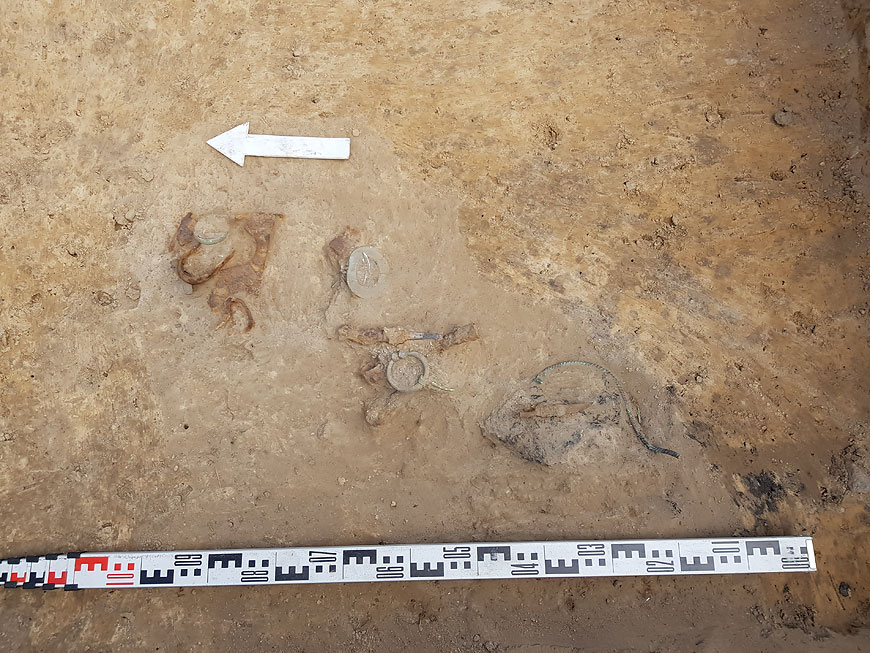 В Гольшанах нашли украшения Х века