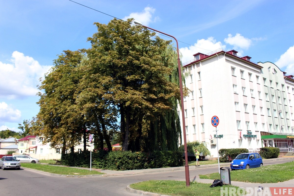 На Ваўковіча высякуць 14 старых дрэў. Мясцовыя жыхары абураныя