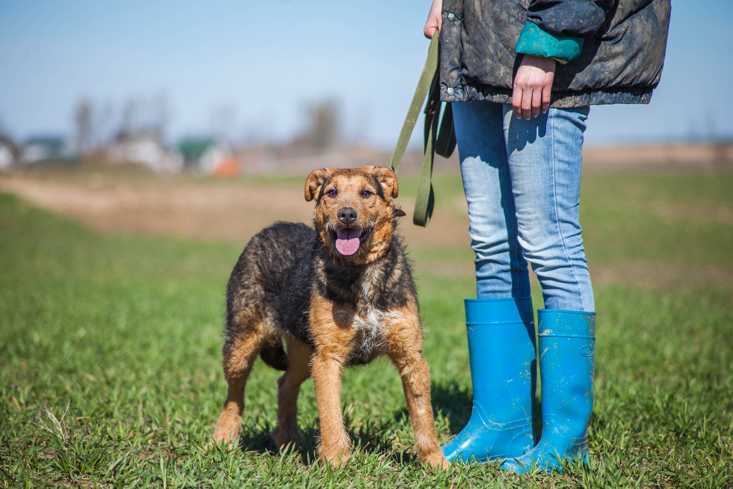 Жывёлы шукаюць дом: выбірай котку або сабаку, якія вельмі хочуць з табой пасябраваць Жывёлы шукаюць дом: выбірай котку або сабаку, якія вельмі хочуць з табой пасябраваць