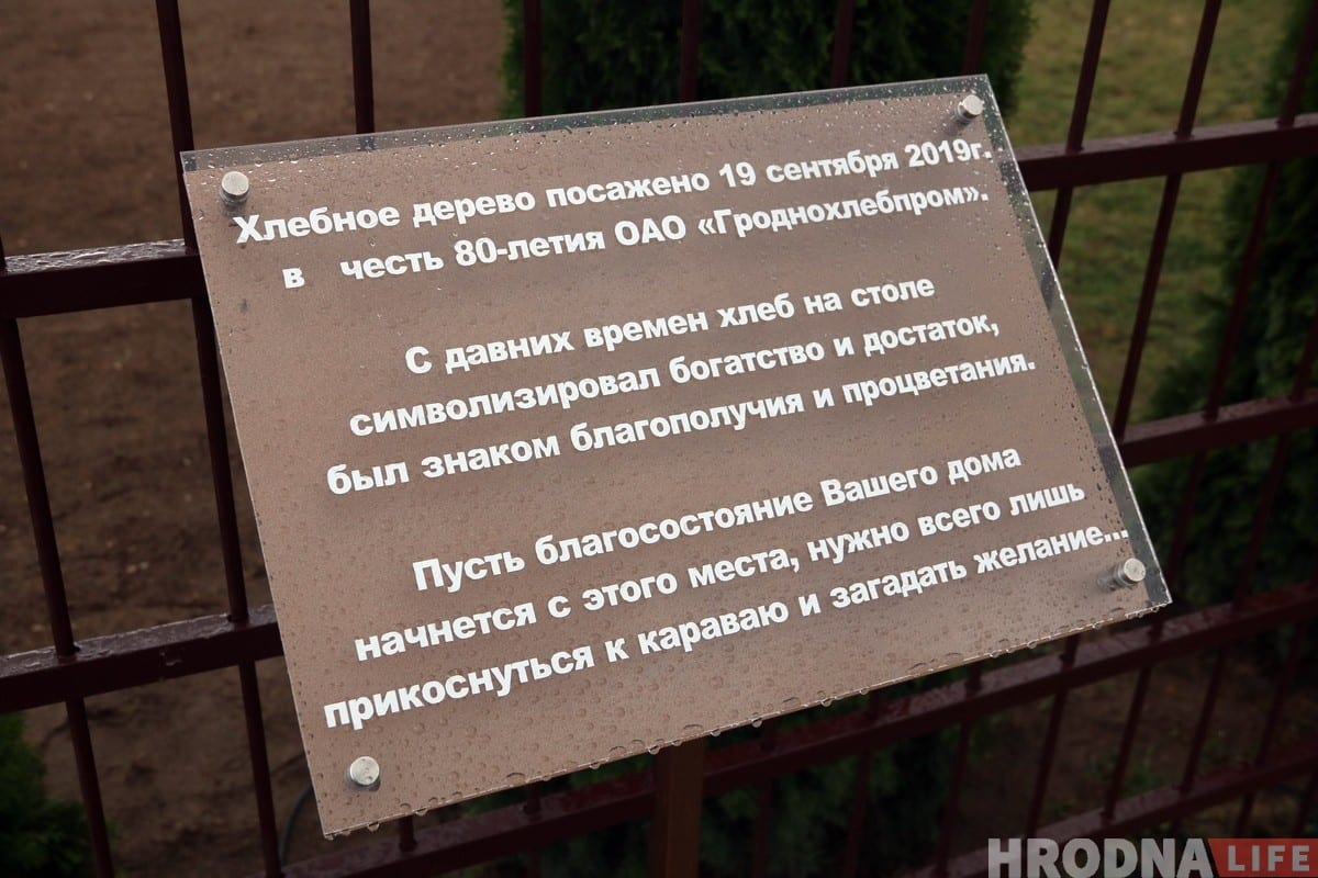 «Наш падарунак гораду». Каля хлебазавода адкрылі "Хлебнае дрэва"