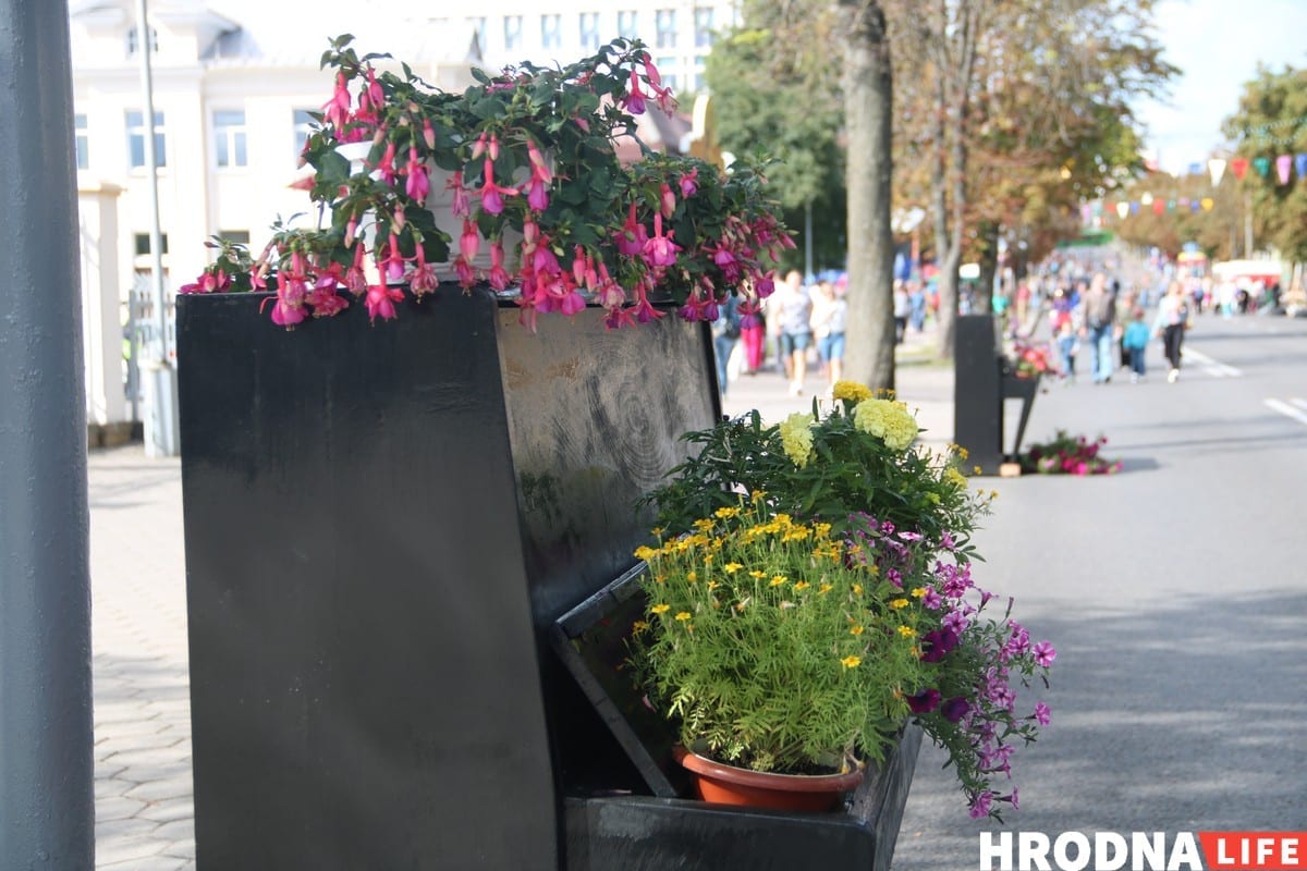 Тату на банане і свіння пад гарвыканкамам - чым здзіўляў Дзень горада ў Гродне. Фотарэпартаж