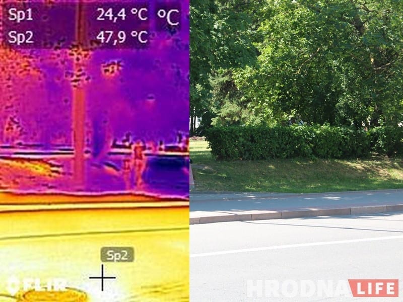 Хочешь, чтобы в Гродно появились цветущие газоны? Поддержи петицию!