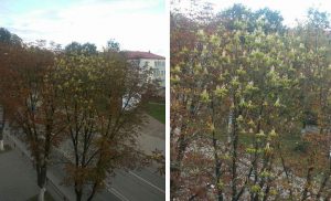 У Гродзенскай вобласці ўведзена забарона на наведванне лясоў у шасці раёнах