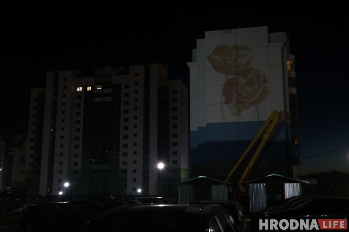 Подсолнух, василек и мак: В Гродно «расцветают» многоэтажки