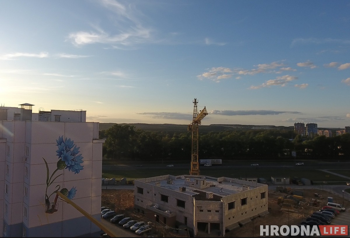 Подсолнух, василек и мак: В Гродно «расцветают» многоэтажки