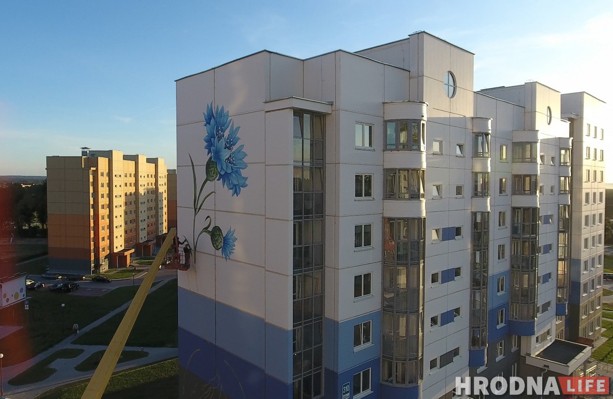 Подсолнух, василек и мак: В Гродно «расцветают» многоэтажки