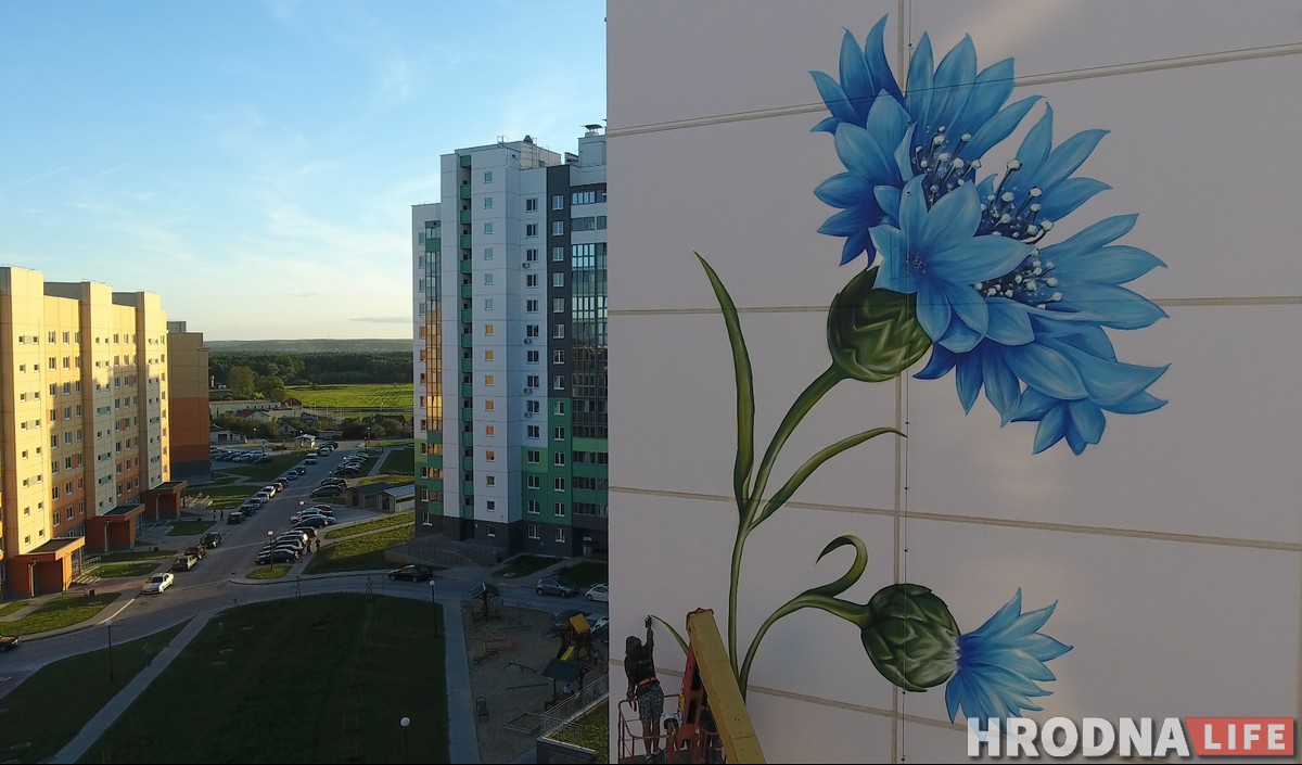 Подсолнух, василек и мак: В Гродно «расцветают» многоэтажки