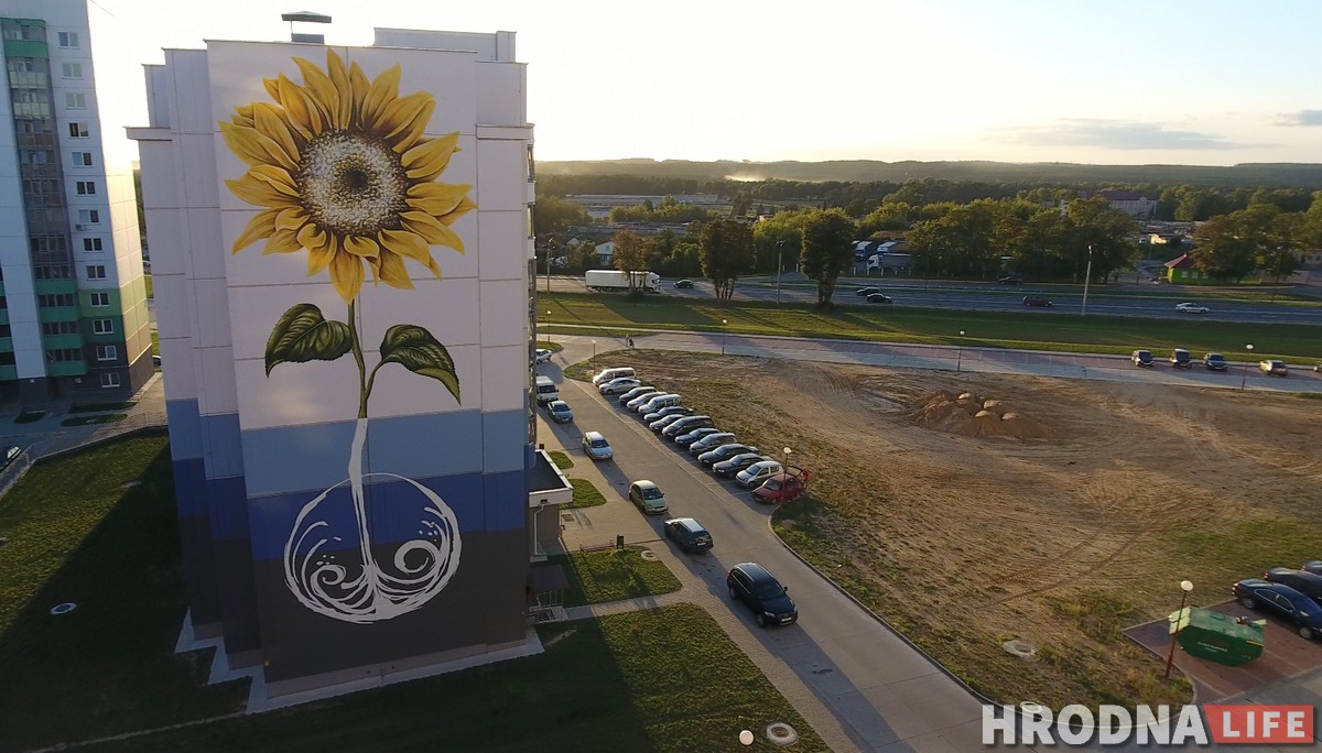 Подсолнух, василек и мак: В Гродно «расцветают» многоэтажки